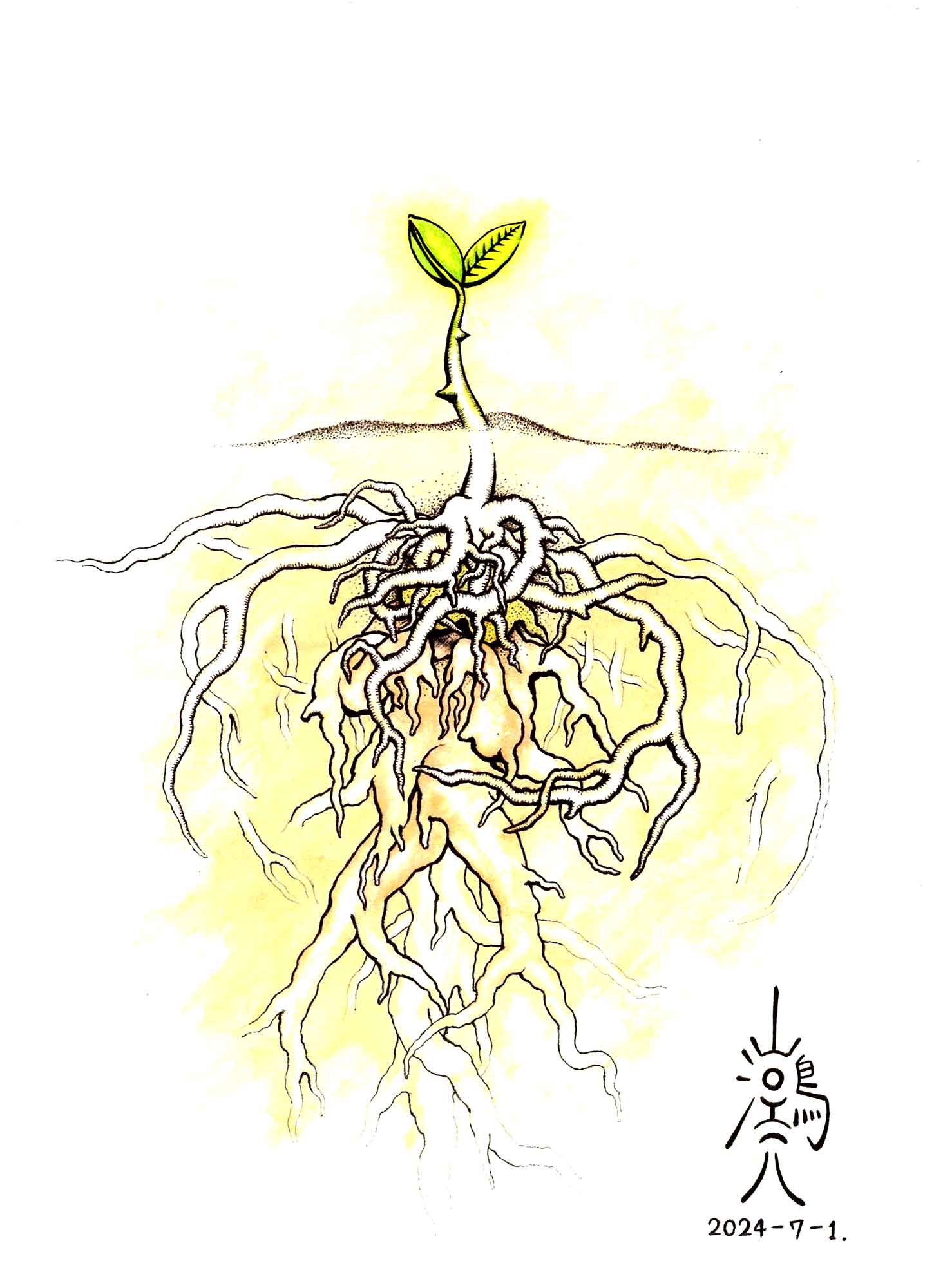 作品名「地下の子」 一本の植物。中央の地面から下へ向かって力強く根が広がっている。地上に芽が出ている。黒色の線で全体がしっかり描かれている。土と根、地上の背景は茶色と黄みがかった茶色で濃淡がある。地上の芽は双葉だろうか本葉だろうか、葉が二枚、明るい緑色である。