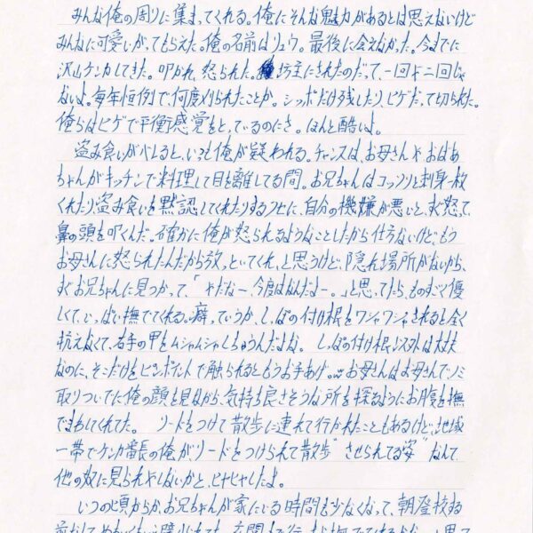 みんな俺の周りに集まってくれる。俺にそんな魅力があるとは思えないけどみんなに可愛いがってもらえた。俺の名前はリュウ。最後に会えなかった。今までに沢山ケンカしてきた。叩かれ、怒られた。坊主にされたのだって、一回や二回じゃないよ。毎年恒例で、何度刈られたことか。シッポだけ残したり、ヒゲだって切られた。俺らはヒゲで平衡感覚をとっているのにさ。ほんと酷いよ。 　盗み食いがバレると、いつも俺が疑われる。チャンスは、お母さんやおばあちゃんがキッチンで料理して目を離してる間。お兄ちゃんはコッソリと刺身一枚くれたり、盗み食いを黙認してくれたりするクセに、自分の機嫌が悪いとすぐ怒って、鼻の頭を叩くんだ。確かに俺が怒られるようなことしたから仕方ないけど、もうお母さんに怒られたんだから放っといてくれ、と思うけど、隠れ場所がないから、すぐお兄ちゃんに見つかって、「やだなー、今度はなんだよー。」と思ってたら、ものすごく優しくて、いっぱい撫でてくれる。癖っていうか、しっぽの付け根をワシャワシャされると全く抗えなくて、右手の甲をムシャムシャしちゃうんだよな。しっぽの付け根以外は大丈夫なのに、そこだけをピンポイントで触られるともうお手あげ。ww お母さんはお母さんでノミ取りついでに俺の顔を見ながら、気持ち良さそうな所を探るようにお腹を撫でまわしてくれてた。リードをつけて散歩に連れて行かれたこともあるけど、地域一帯でケンカ番長の俺が、リードをつけられて散歩“させられてる姿”なんて他の奴に見られやしないかとヒヤヒヤしたよ。 　いつの頃からか、お兄ちゃんが家にいる時間も少なくなって、朝登校する前なんて、めちゃくちゃ避けられてた。玄関まで行ったら撫でてくれるかなーと思って毎日行くんだけど、頭をポンポンとされるだけ。