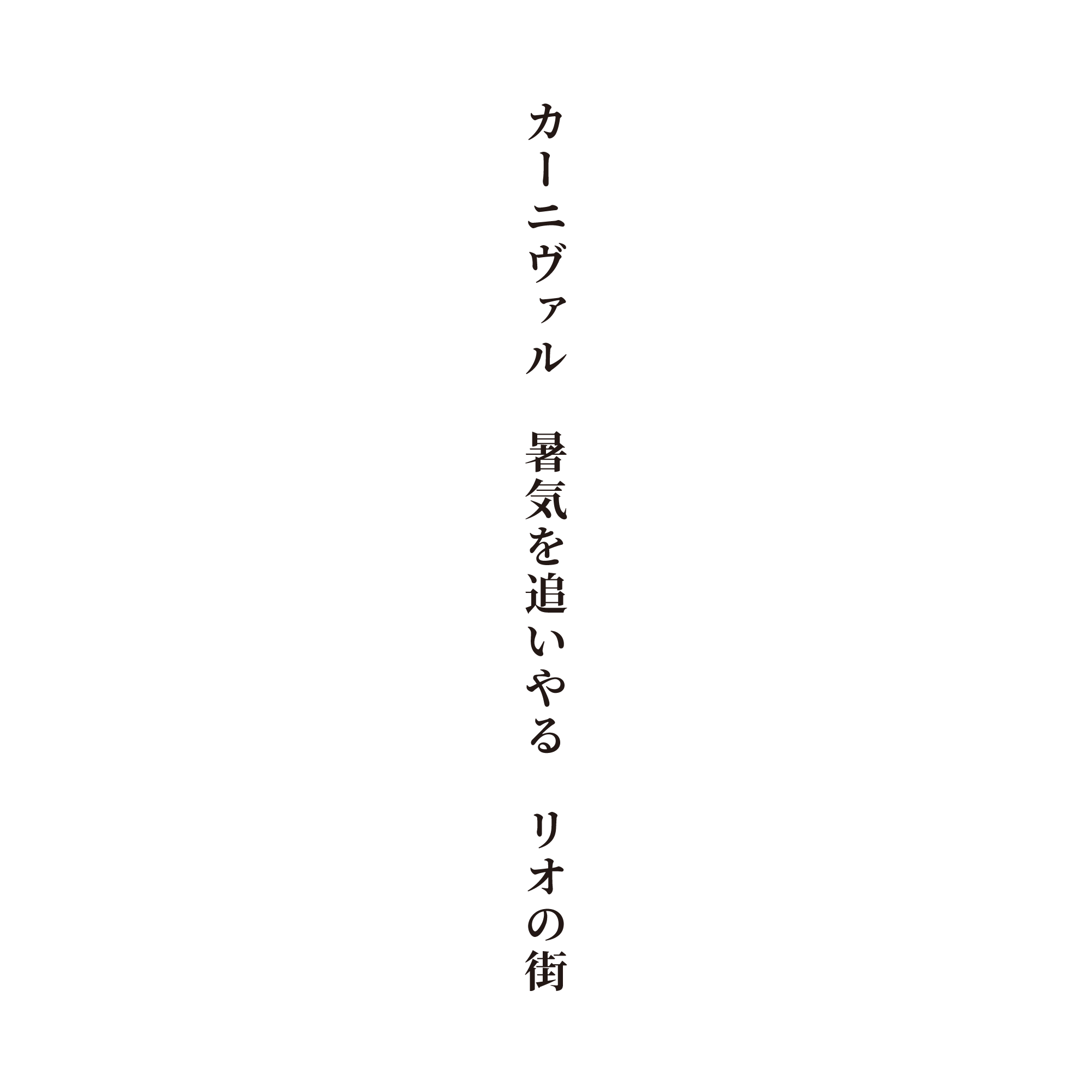 カーニヴァル　暑気を追いやる　リオの街