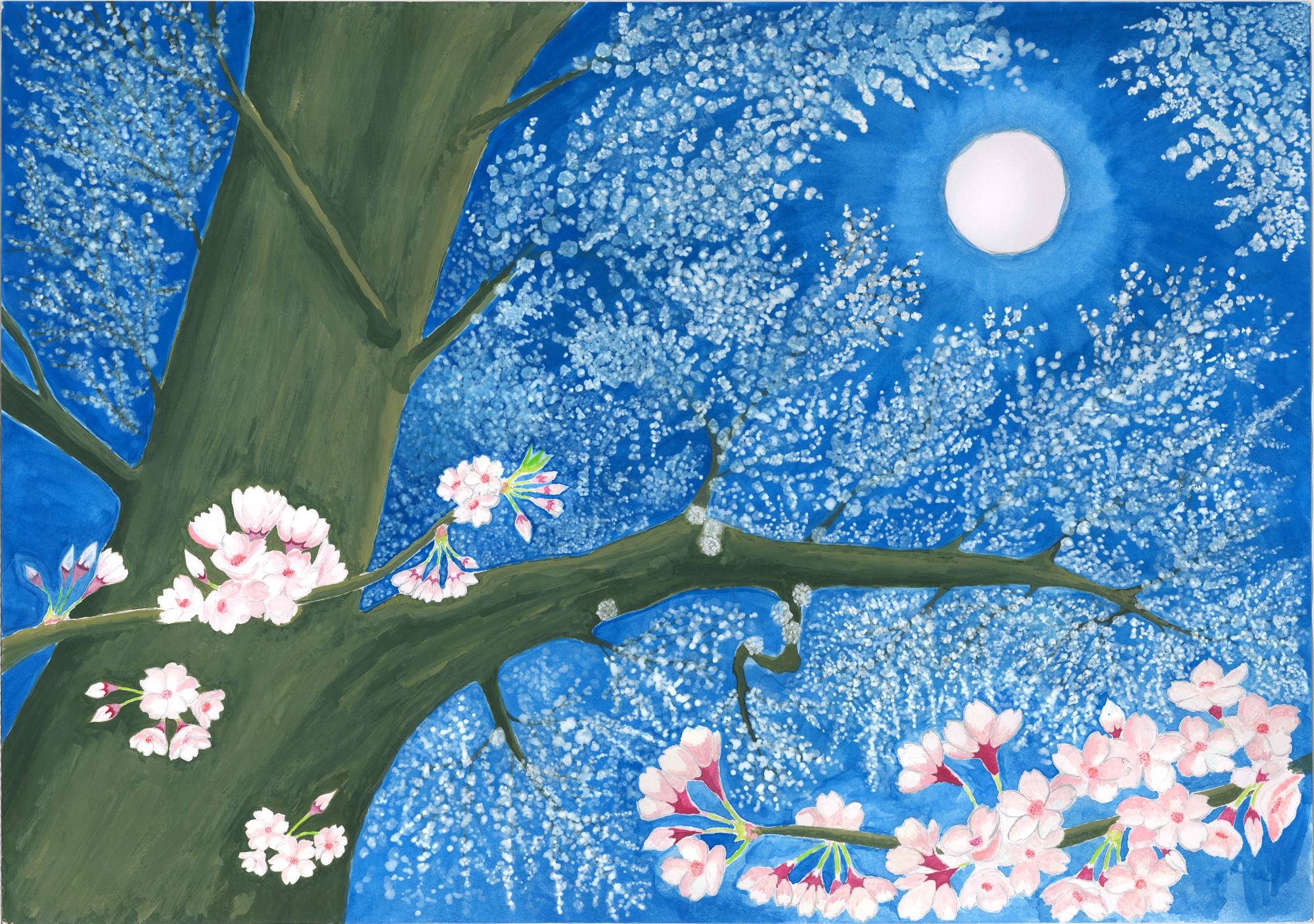 濃い青の夜空に満月が輝き、月の周囲が淡く光る横長の画面。左から太い桜の幹が伸び、緑がかった枝が右へ大きく張り出す。枝の先には白く小さな花の群れが霞のように空一面に広がり、手前の枝には桃色の大ぶりな桜の花と蕾が描き込まれている。