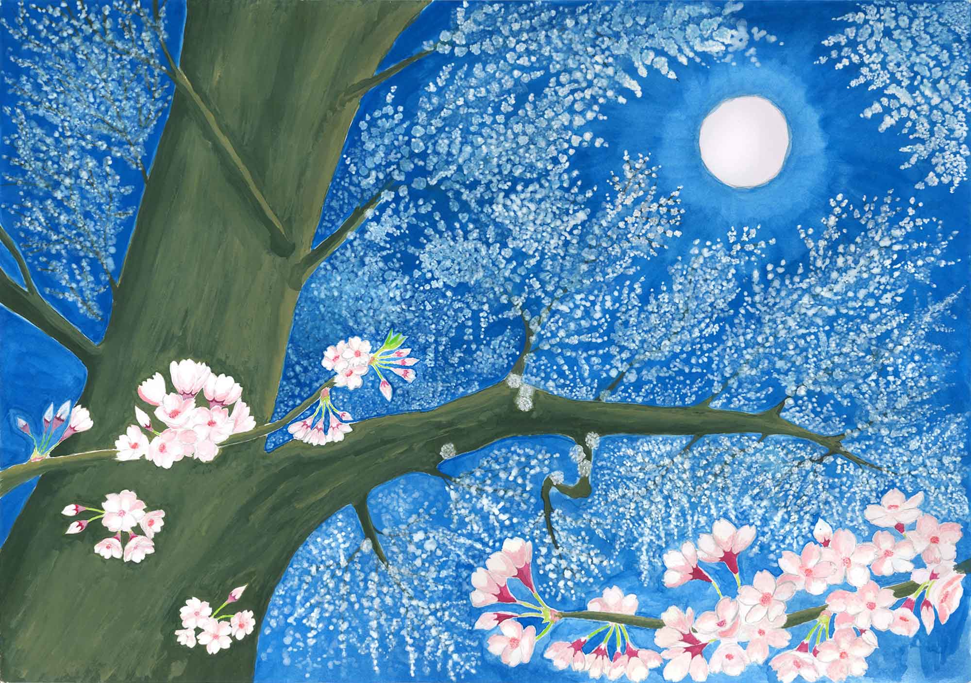 濃い青の夜空に満月が輝き、月の周囲が淡く光る横長の画面。左から太い桜の幹が伸び、緑がかった枝が右へ大きく張り出す。枝の先には白く小さな花の群れが霞のように空一面に広がり、手前の枝には桃色の大ぶりな桜の花と蕾が描き込まれている。